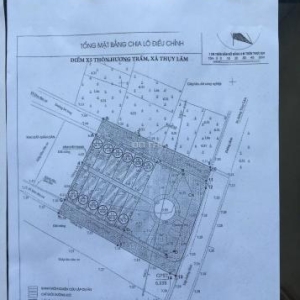 Bán 78.7m2 đất đấu giá Hương Trầm, Thụy Lâm, Đông Anh, Hà Nội