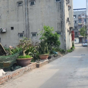 Bán 94.6m2 đất Cổ Dương, Tiên Dương, Đông Anh giá 90.5tr