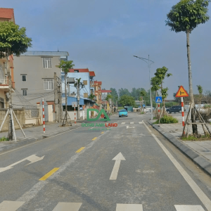 Bán Lô đất đấu giá cực phẩm tại Thụy Lâm , diện tích lý tưởng – xứng đáng để sở hữu! nhỉnh 7 tỷ