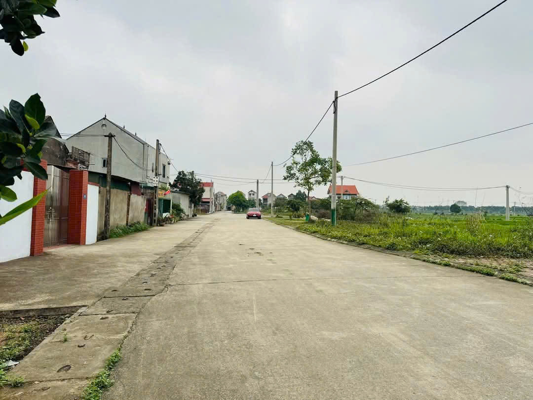 🌟 BÁN ĐẤT ĐẤU GIÁ SIÊU HOT – 125M² BẮC THƯỢNG, QUANG TIẾN, SÓC SƠN nhỉnh 4 tỷ