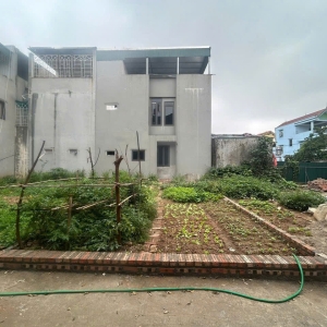 BÁN ĐẤT 46,3M² – CỔ DƯƠNG, TIÊN DƯƠNG, ĐÔNG ANH – nhỉnh 3 tỷ
