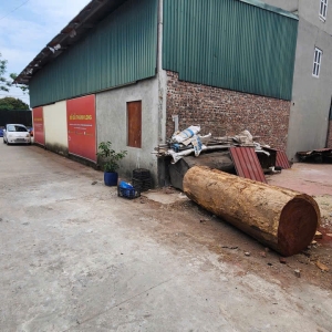 ‼️BÁN ĐẤT SIÊU HOT ✳️  KHU ĐẤU GIÁ THÔN HÀ PHONG – XÃ LIÊN HÀ – ĐÔNG ANH ✳️ nhỉnh 8 tỷ