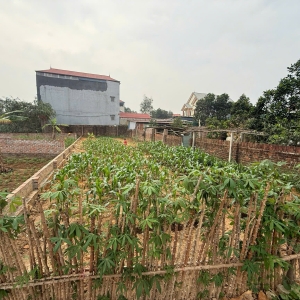 🌳 BÁN LÔ ĐẤT RỘNG GIÁ RẺ – LẬP TRÍ, MINH TRÍ, SÓC SƠN 🌳 nhỉnh 5 tỷ