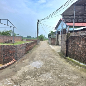 🌟 Bán đất 460m² tại Thanh Sơn – Minh Phú, Sóc Sơn  nhỉnh 5 tỷ