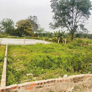 BÁN NHANH LÔ ĐẤT 45M2 - BẾN TRUNG, BẮC HỒNG - nhỉnh 3 tỷ