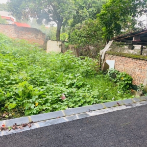 BÁN ĐẤT XÓM TIÊN – TIÊN HÙNG, ĐÔNG ANH – nhỉnh 4 tỷ
