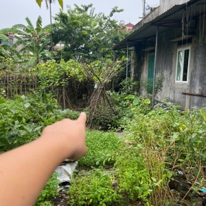 Bán Nhanh 55,3m² – Thôn Đoài, Nam Hồng – nhỉnh 2 tỷ