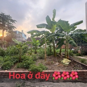 Bán nhanh lô đất 42m² – Lỗ Giao Việt Hùng - nhỉnh 3 tỷ